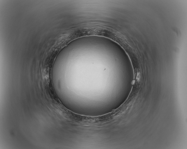 X0000114150771200910151543