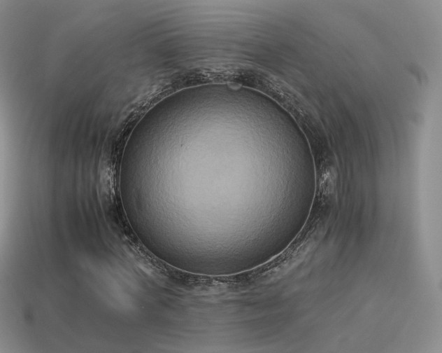 X0000114150772200910151543