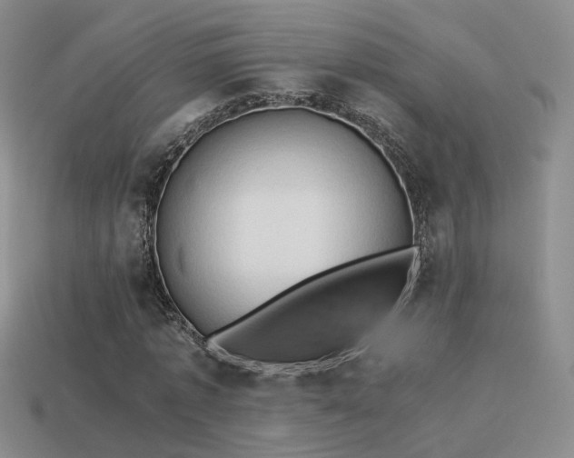X0000114150773200910151543