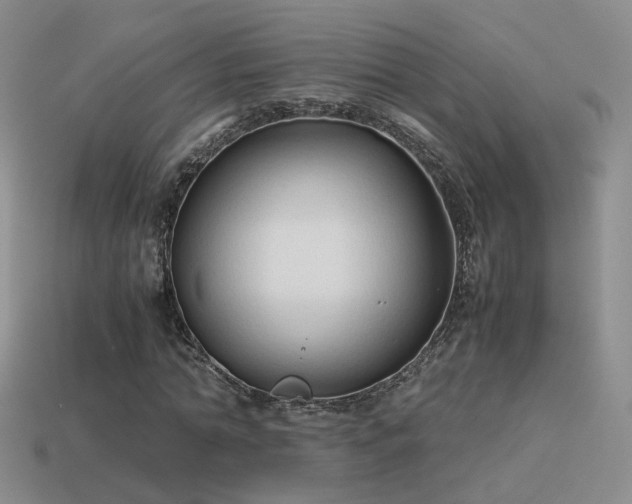 X0000114150774200910151543