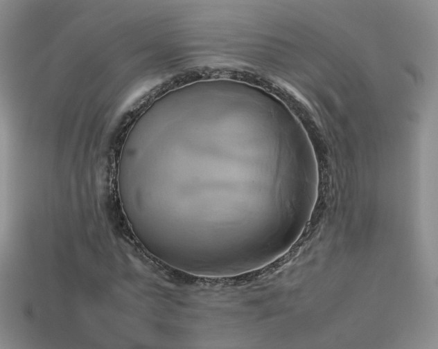 X0000114150775200910151543