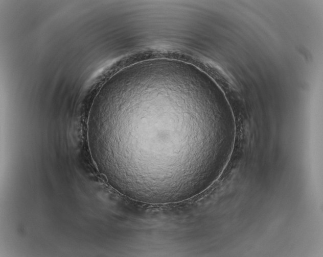 X0000114150776200910151543