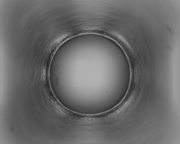 X0000114150777200910151543