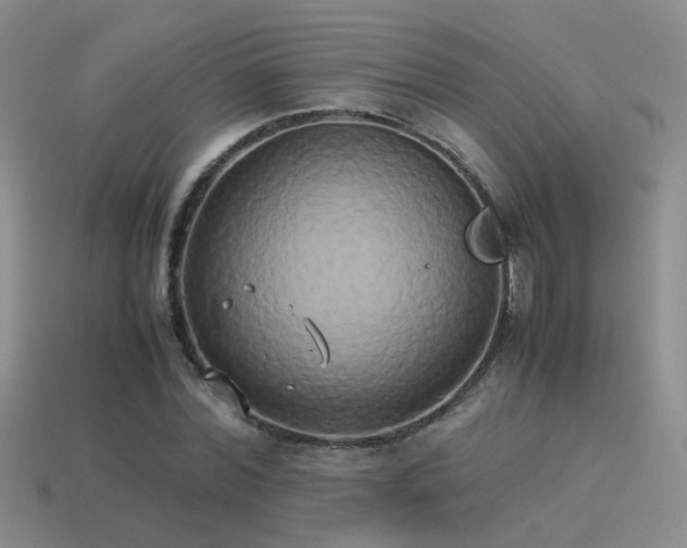 X0000114150780200910151543