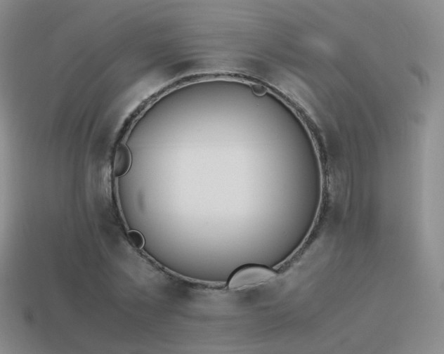 X0000114150781200910151543