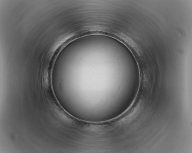 X0000114150782200910151543