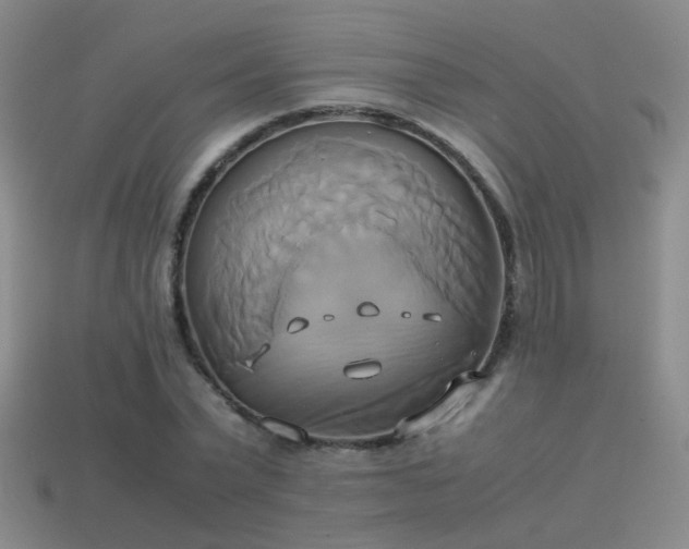 X0000114150783200910151543