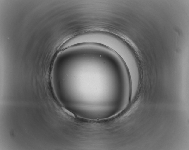 X0000114150785200910151543