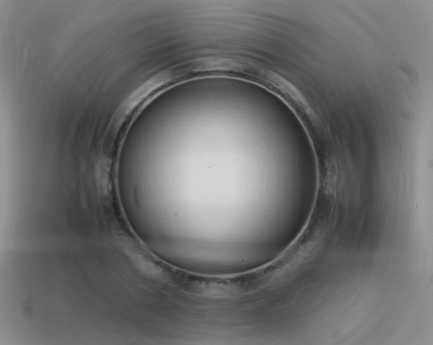 X0000114150786200910151543