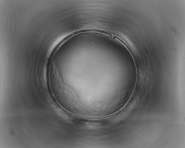 X0000114150788200910151543