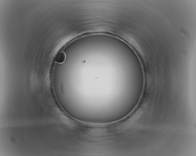 X0000114150789200910151543