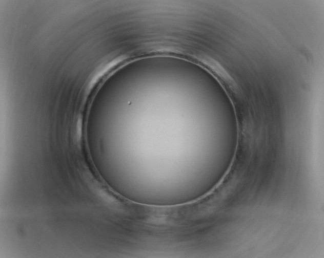 X0000114150790200910151543