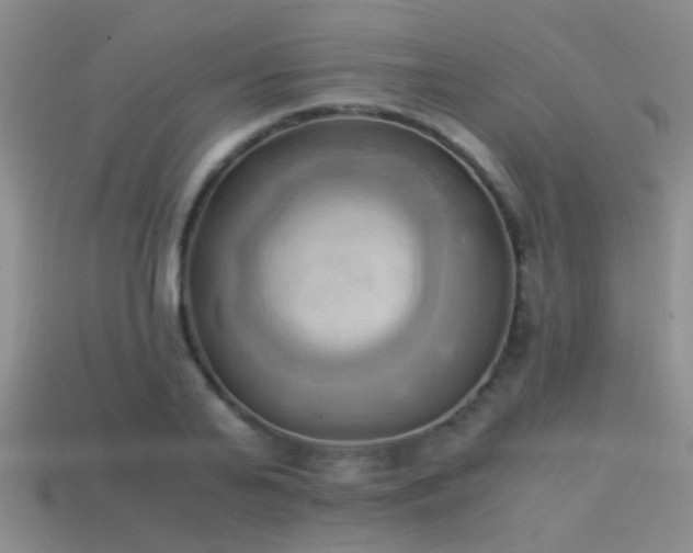 X0000114150791200910151543