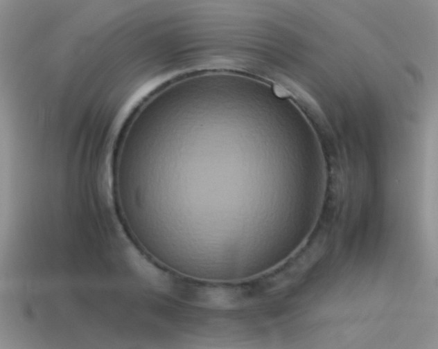 X0000114150792200910151543