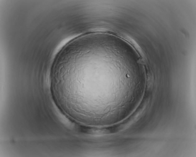 X0000114150795200910151543