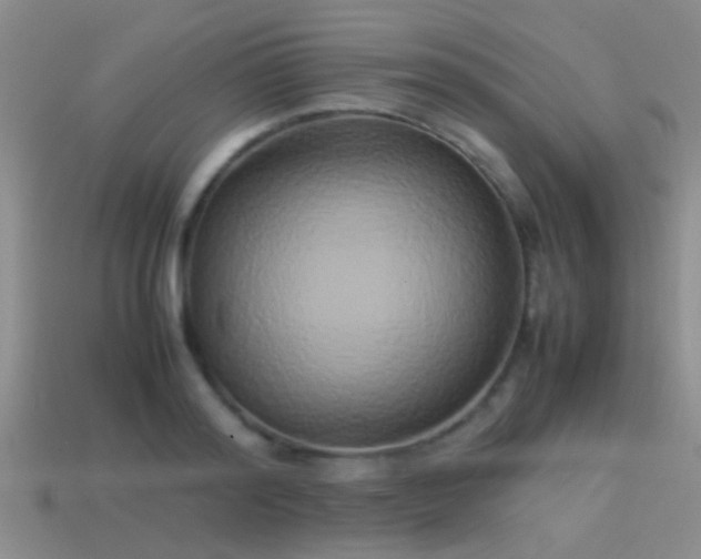 X0000114150796200910151543