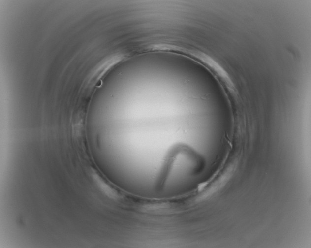 X0000114150801200910151543