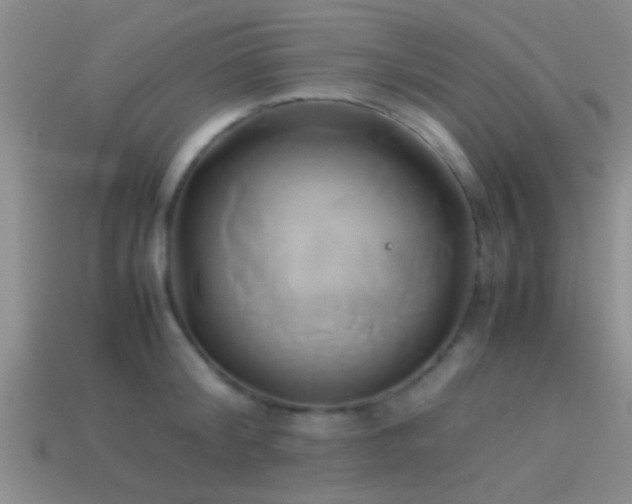 X0000114150804200910151543