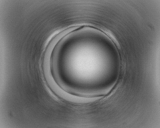 X0000114150805200910151543