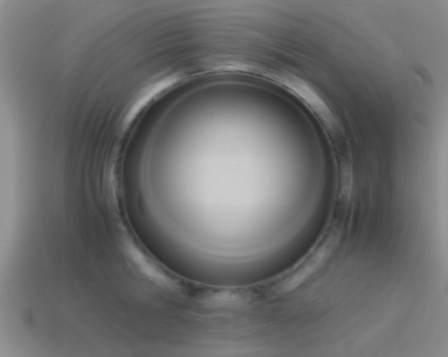 X0000114150806200910151543