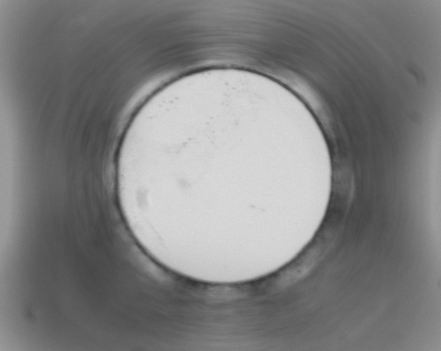 X0000114150807200910151543