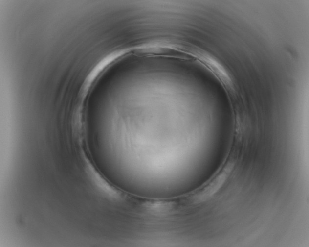 X0000114150808200910151543