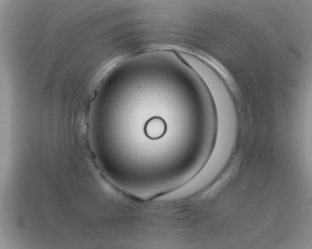 X0000114150809200910151543