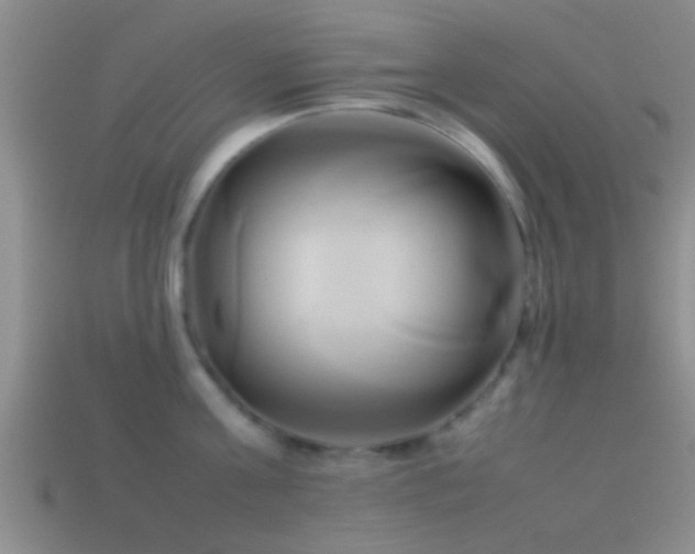 X0000114150811200910151543