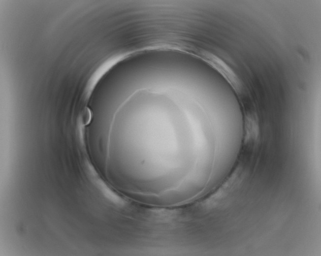 X0000114150812200910151543