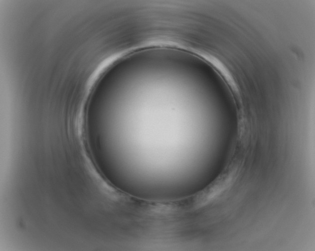 X0000114150815200910151543