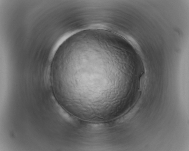 X0000114150816200910151543