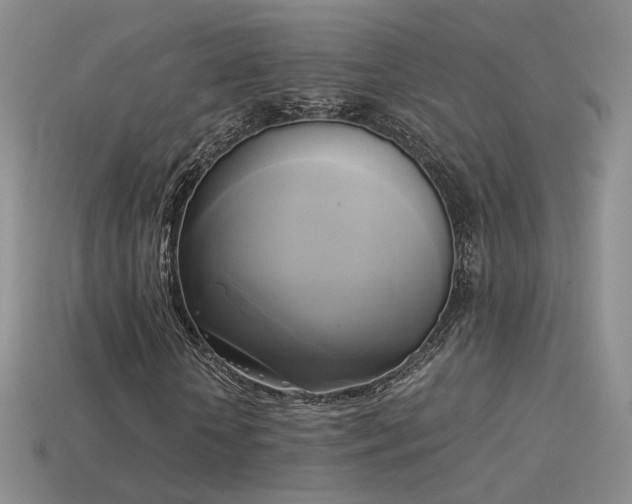 X0000114150818200910151542