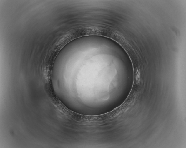 X0000114150819200910151542