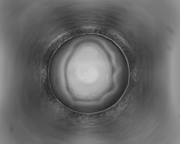 X0000114150821200910151542