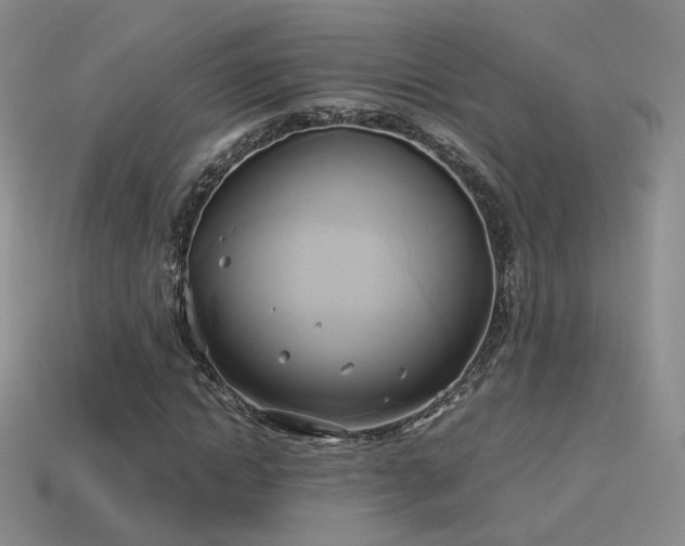 X0000114150822200910151542