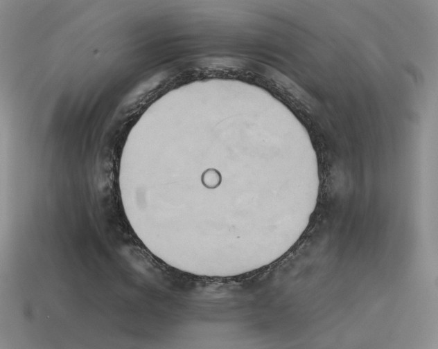 X0000114150824200910151542