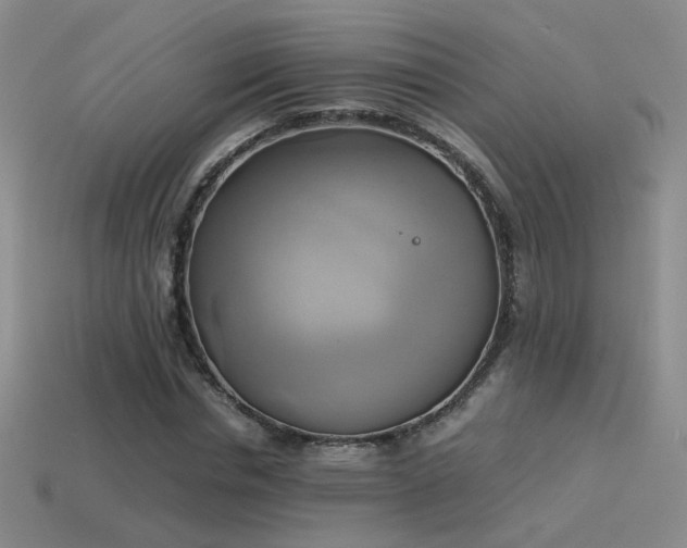 X0000114150826200910151542