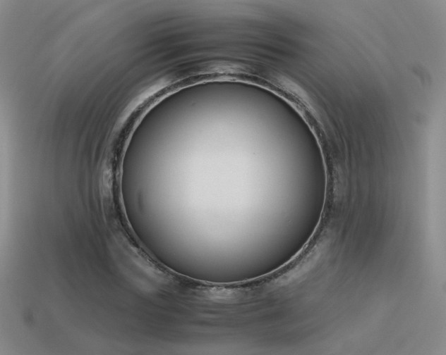 X0000114150827200910151542