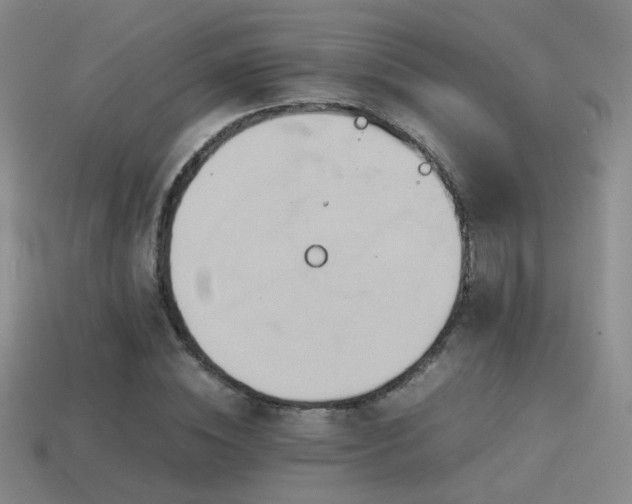 X0000114150828200910151542