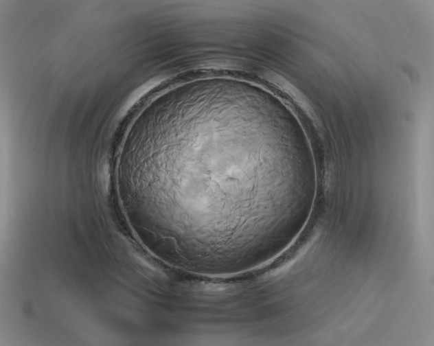 X0000114150829200910151542