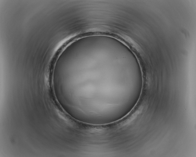X0000114150830200910151542