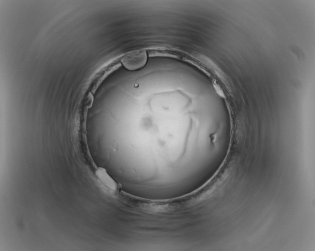 X0000114150831200910151542