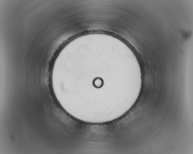 X0000114150832200910151542