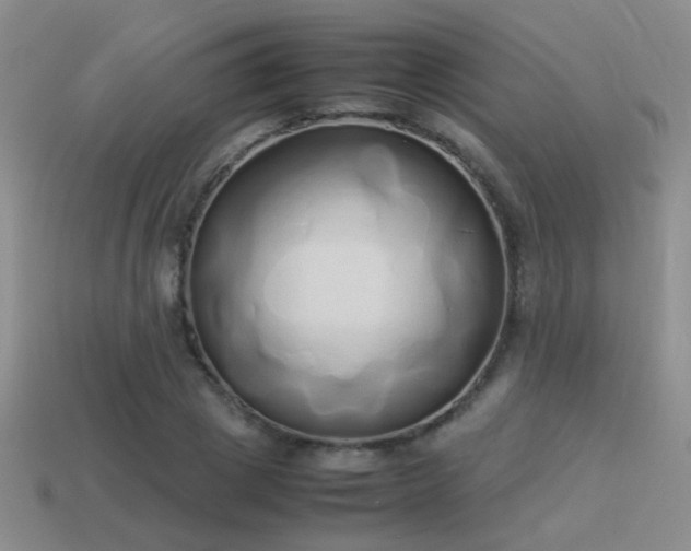 X0000114150833200910151542