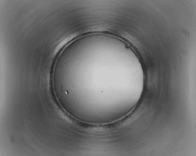 X0000114150834200910151542