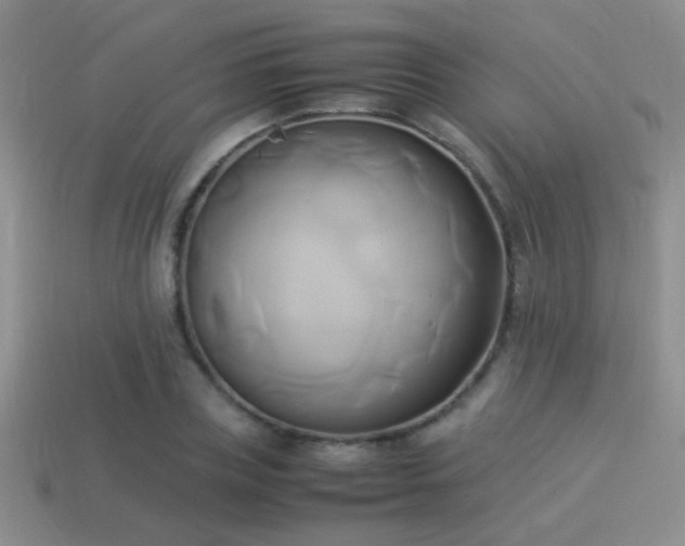 X0000114150835200910151542