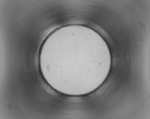 X0000114150836200910151542