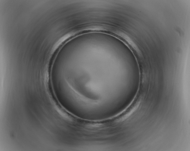X0000114150837200910151542