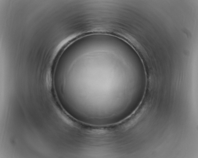 X0000114150838200910151542