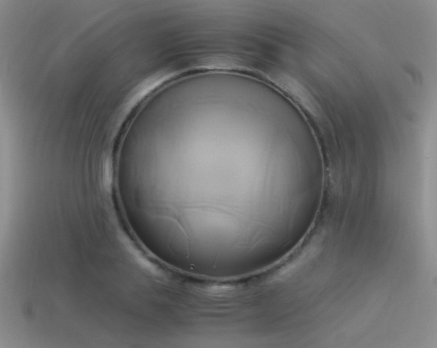 X0000114150839200910151542